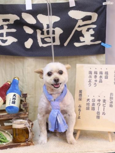 20240623ポンタくん